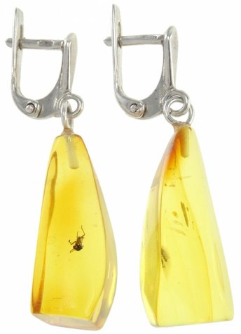 Сережки бурштинові в фігурному кріпленні з інклюзом